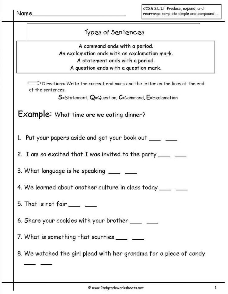 12 4 Types Of Sentences Worksheet 5Th Grade Grade Printable sheets 