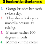 5 Example Of Declarative Sentence Definition And Example Sentences