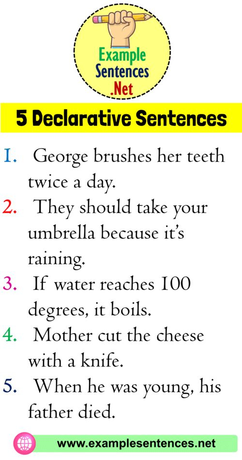 5 Example Of Declarative Sentence Definition And Example Sentences 