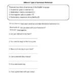 5th Grade Types Of Sentences Worksheets Pdf Thekidsworksheet