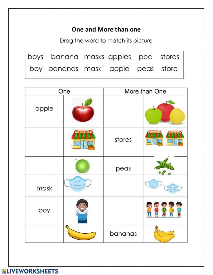 Add s Plural Worksheet Plurals Worksheets Plurals Singular And 