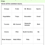 Circle The Common Nouns Worksheet Turtle Diary