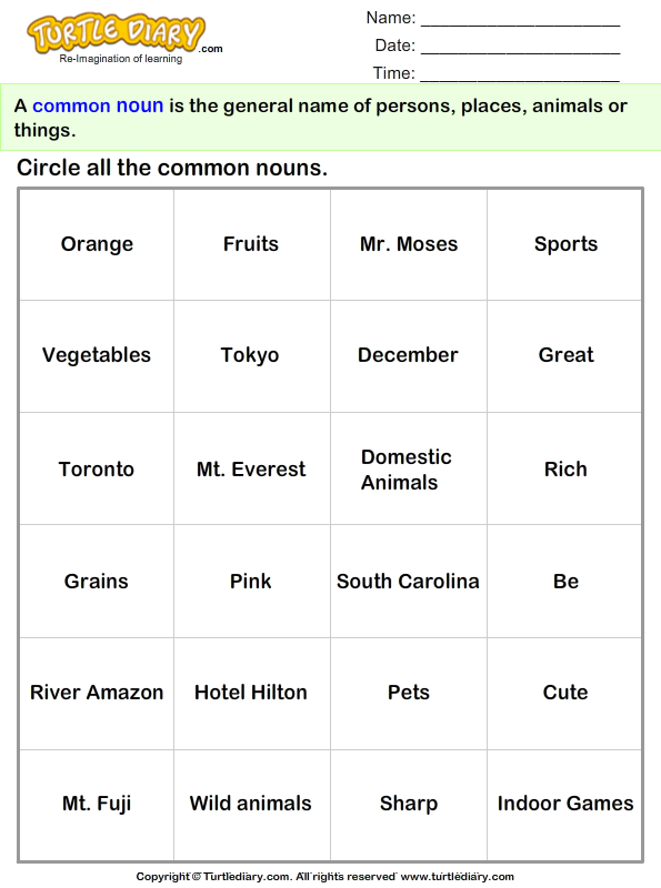 Circle The Common Nouns Worksheet Turtle Diary