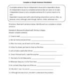 Complex Or Simple Sentences Worksheet Education Common Core Free