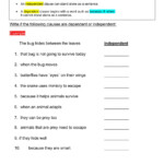 Complex Sentences 4 Worksheet