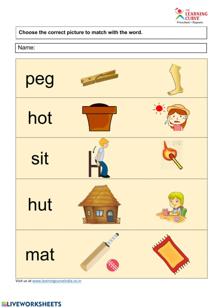 CVC Words Final Worksheet