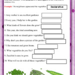 Declarative And Interrogative Sentences Interactive Activity