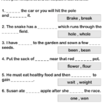 Determining Correct Homophone Worksheet Turtle Diary