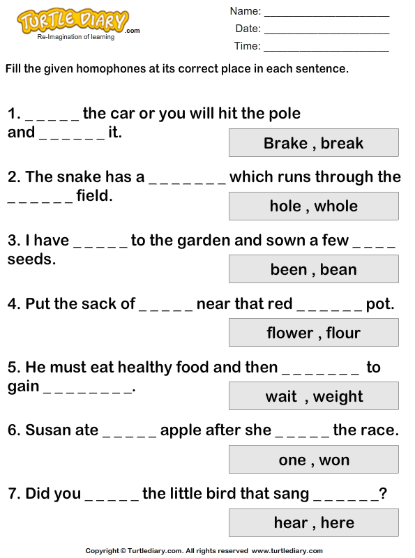 Determining Correct Homophone Worksheet Turtle Diary