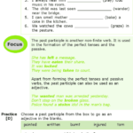 English Grammar Worksheet For Class 7 A Worksheet Blog