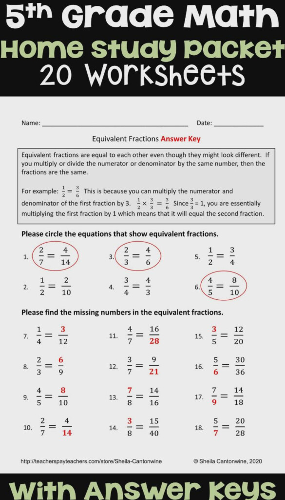 Equivalent Fraction Worksheets 5th Grade Printable Worksheet Template