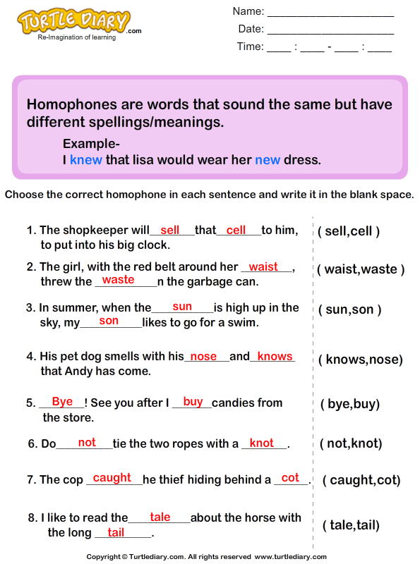 Finding Homophones In The Sentences Worksheet Turtle Diary