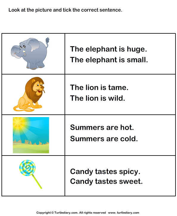 For The Picture Choose Sentence With Correct Adjective Worksheet 