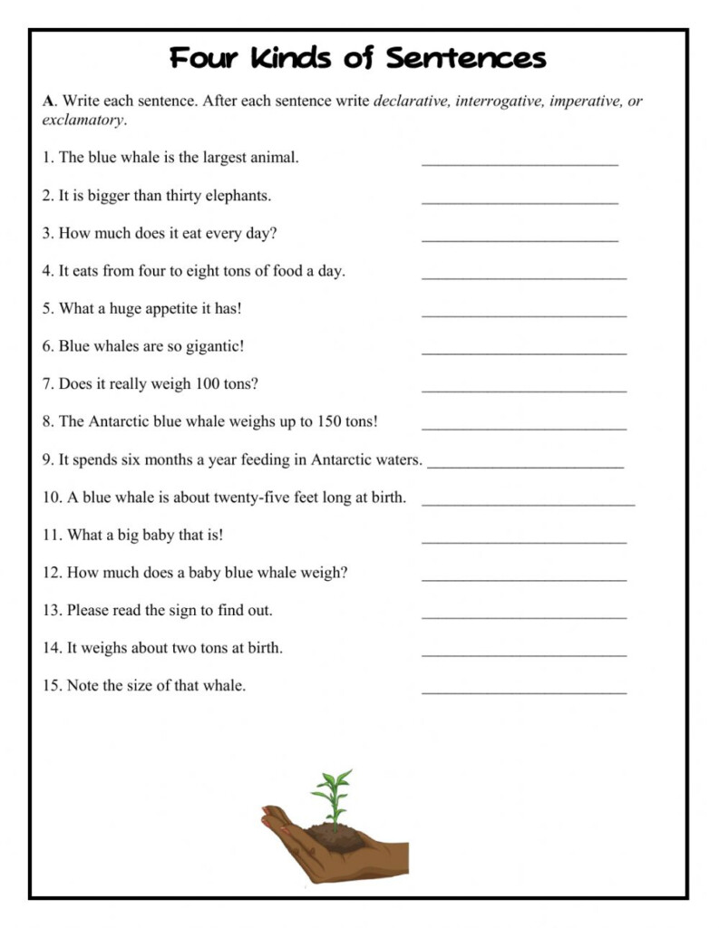 Four Kinds Of Sentences Worksheet