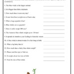 Four Kinds Of Sentences Worksheet