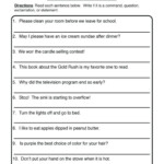 Four Types Of Sentences Worksheet Type Of Sentences Worksheets