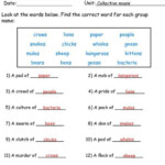 Free Printable Noun Worksheets For 5th Grade Learning How To Read