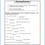 Grade 4 Homophones Sentences Worksheet Worksheet Resume Examples