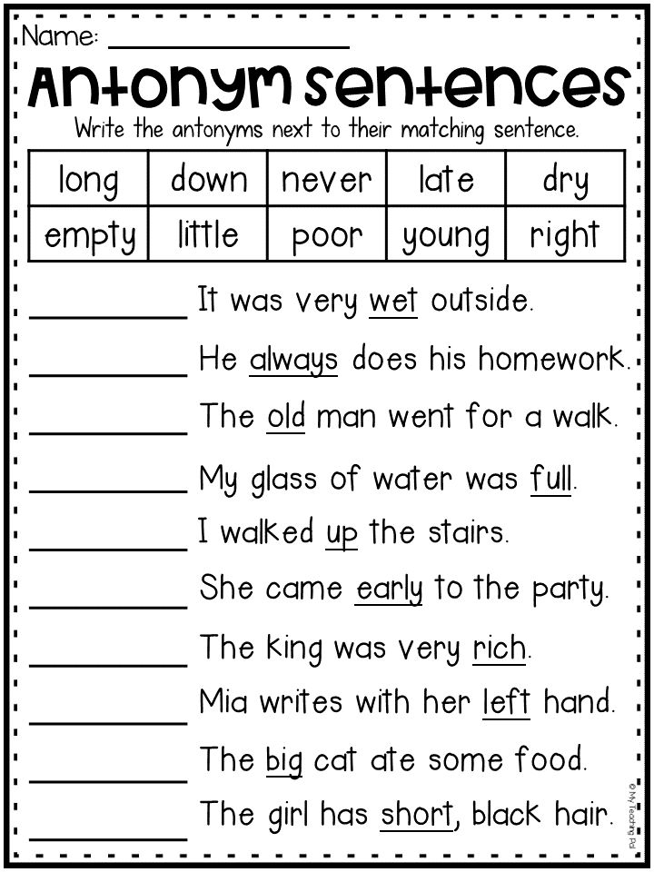 Grammar Worksheet Packet Compound Words Contractions Synonyms And 