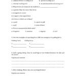 Images worksheet 171 Compound Complex Sentences Answer Key Template