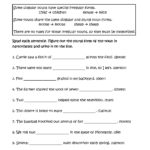 Irregular Plural Nouns Worksheets Nouns Worksheet Plural Nouns