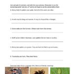 Joining Sentences Grade 5 Worksheet