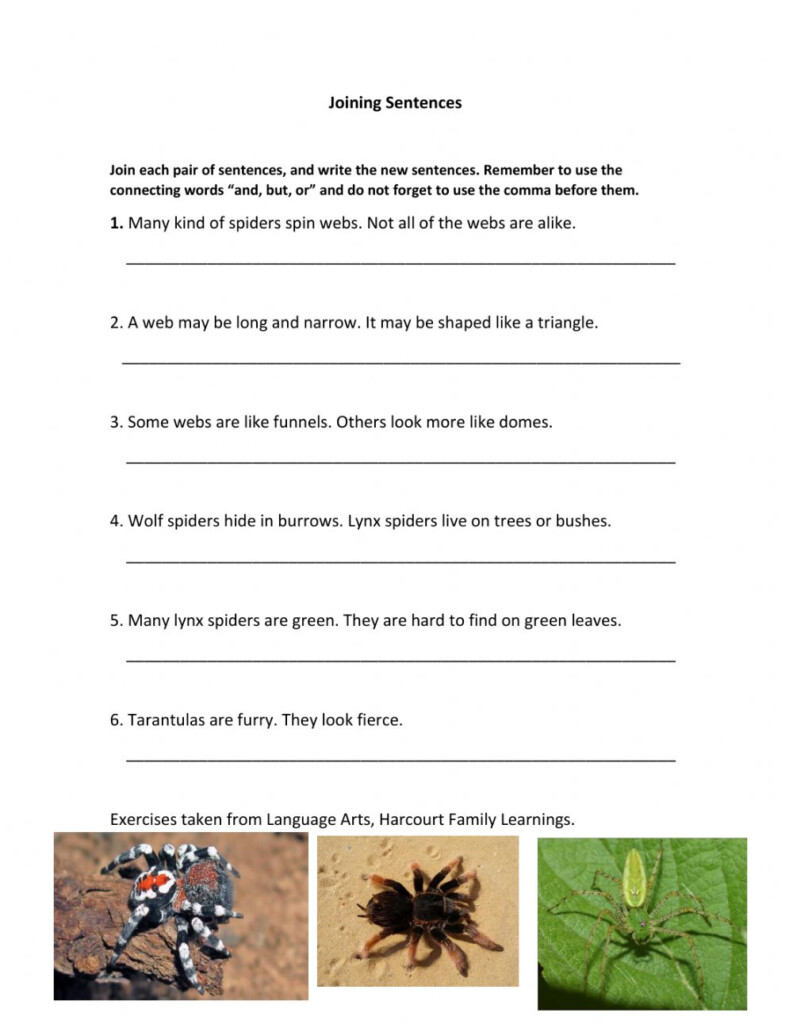 Joining Sentences Grade 5 Worksheet