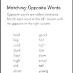 Matching Opposite Words Worksheet Student Handouts Opposite