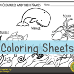 Ocean Creatures Preschool Worksheets