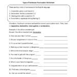 Paragraph Editing Worksheets 5Th Grade Spineprintco Db excel