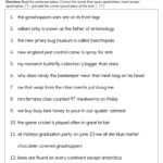 Sentence Correction Worksheets 1st Grade TUTORE ORG Master Of Documents