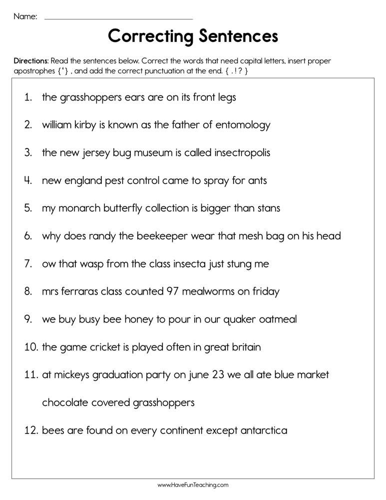 Sentence Correction Worksheets 2nd Grade Newatvs Info