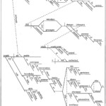 Sentence Diagramming Worksheets