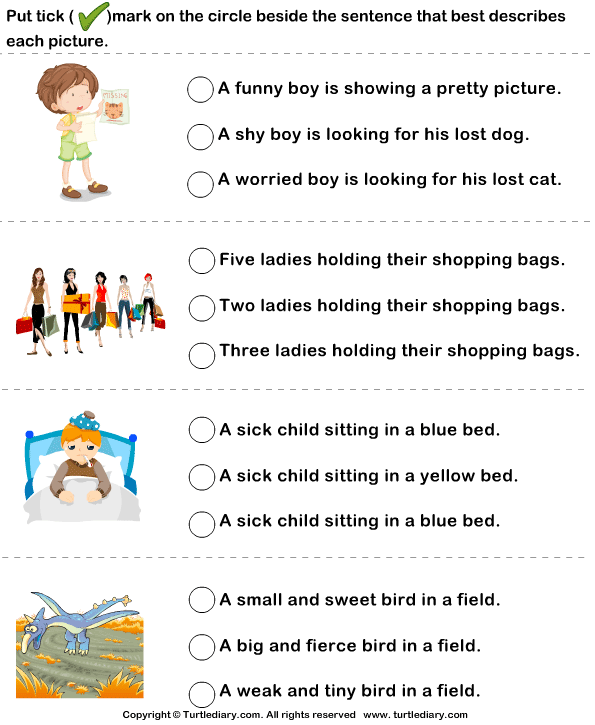 Sentences To Describe Pictures Worksheet Turtle Diary