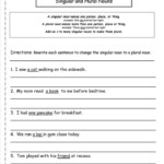 Singular And Plural Nouns Worksheet Nouns Worksheet Plurals Plural