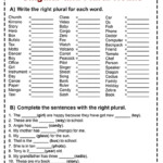 Write The Right Plural For Each Word Worksheets PDF