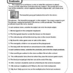 12 Subject Verb Agreement Worksheets 3rd Grade Worksheeto