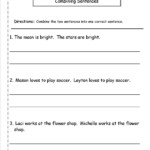 14 Writing Simple Sentences Worksheets Worksheeto