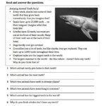 1st Reading Test 5th Grade Worksheet