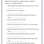 20 6th Grade Sentence Structure Worksheets Simple Template Design