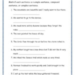 5th Grade Sentence Structure Worksheets With Answer Key Pdf Kiddo