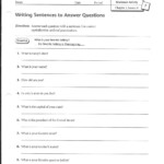 Answering Questions To Make Sentences Worksheet