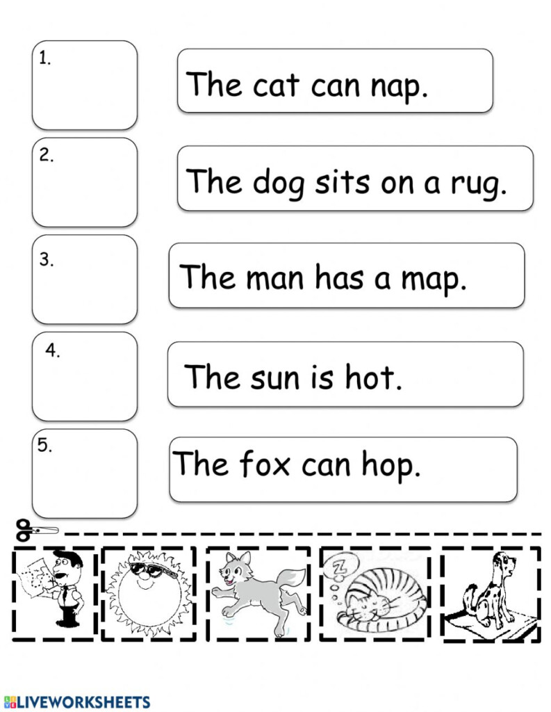 Cvc Words Simple Sentences For Kindergarten To Read Pdf Worksheets 