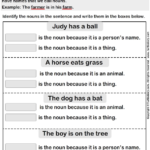 Identify Nouns In The Sentence Turtle Diary Worksheet