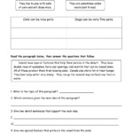 Main Idea Worksheet 24th Grade