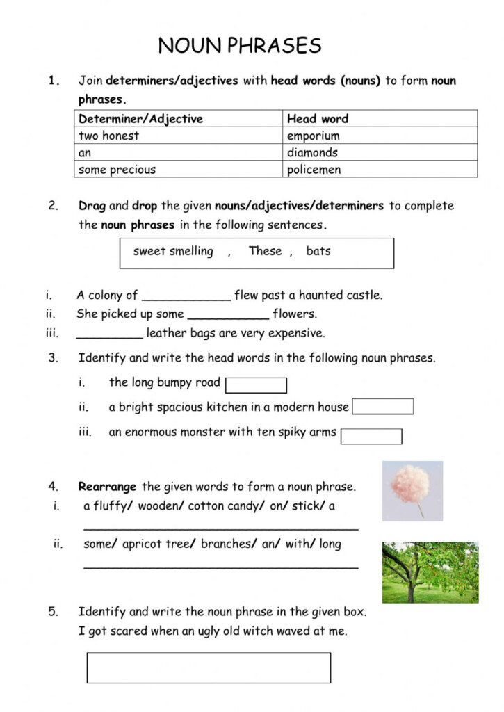 Nouns Worksheets Noun Phrases Worksheets Noun Phrase Worksheet 