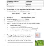 Nouns Worksheets Noun Phrases Worksheets Noun Phrase Worksheet