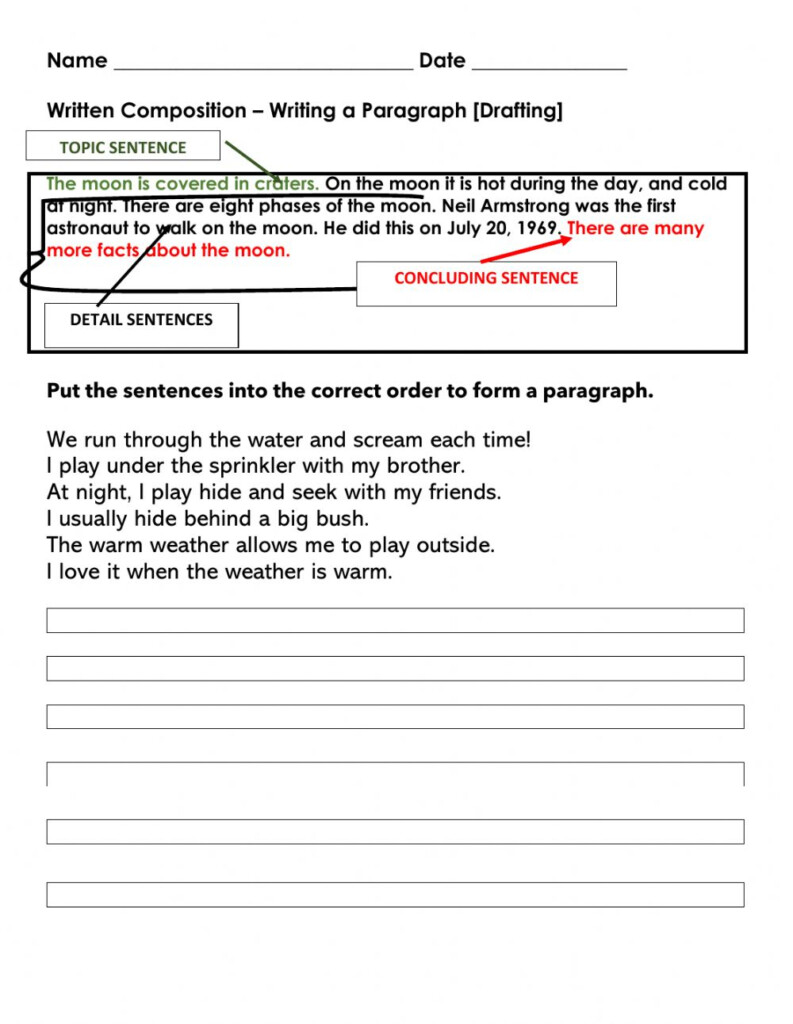 Organizing A Paragraph Interactive Worksheet