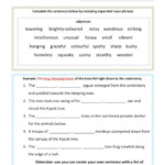 Prepositional Phrases As Adjectives And Adverbs Worksheets Adjectives