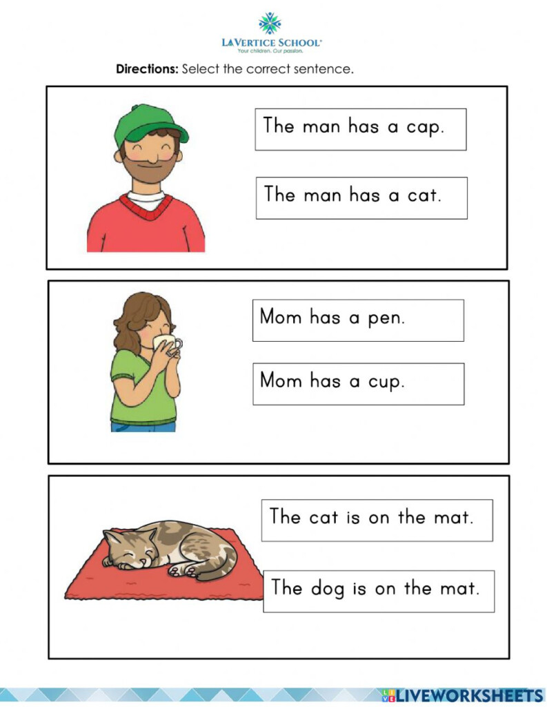 Reading CVC Sentences Worksheet